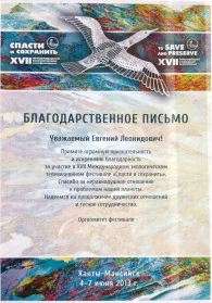 Скан награды: Благодарственное письмо, 2013 год